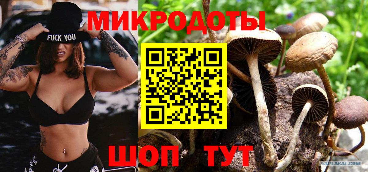 Керчь  наркошоп  Вход с VPN  Псилоцибиновые грибы GOLDEN TEACHER 
