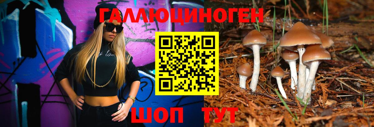 Галлюциногенные грибы мицелий Керчь